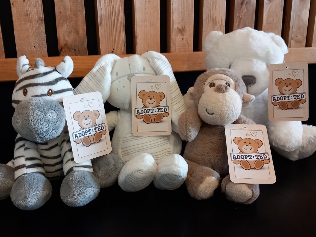 Adopt:Ted - Four Furry Friends