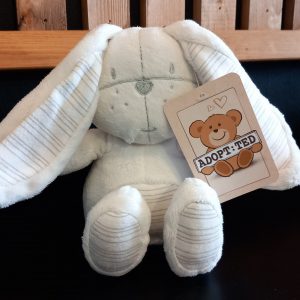 Adopt:Ted - Bunny Rabbits