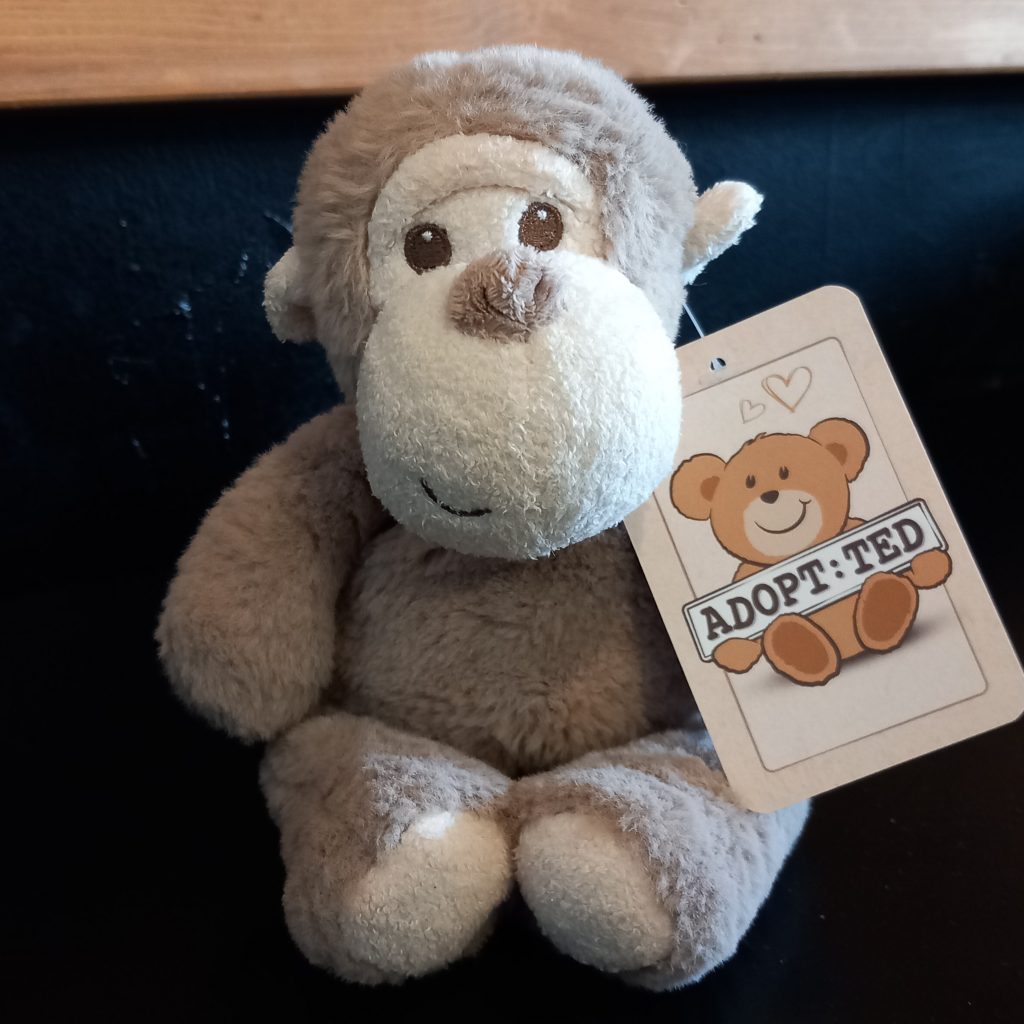 Adopt:Ted - Monkeys