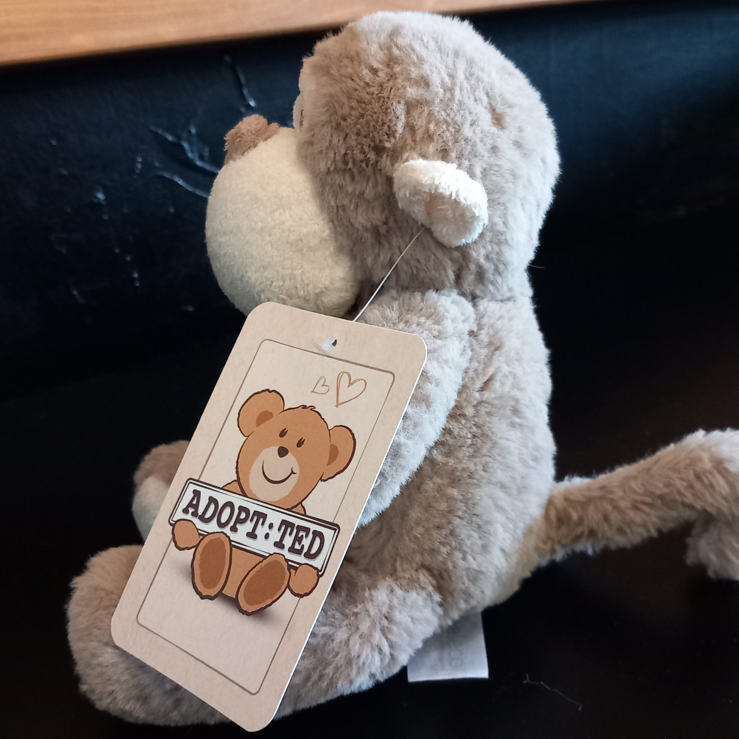 Cute Monkey - Image 2