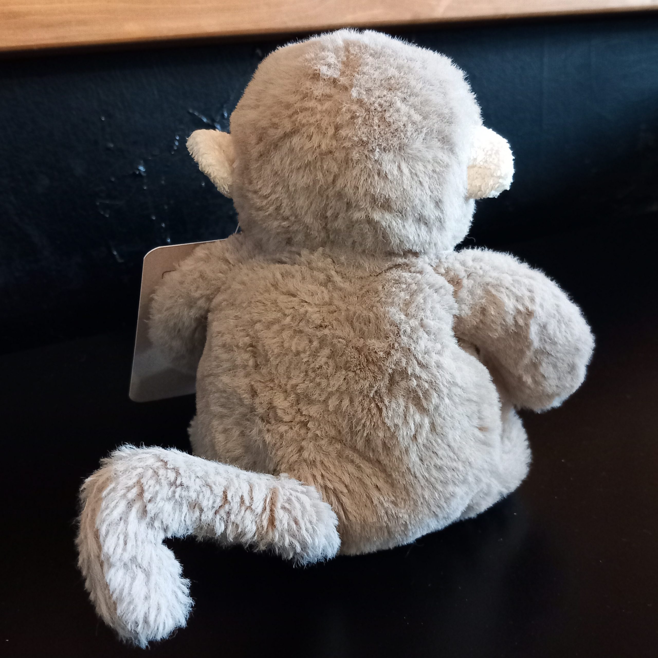 Cute Monkey - Image 3