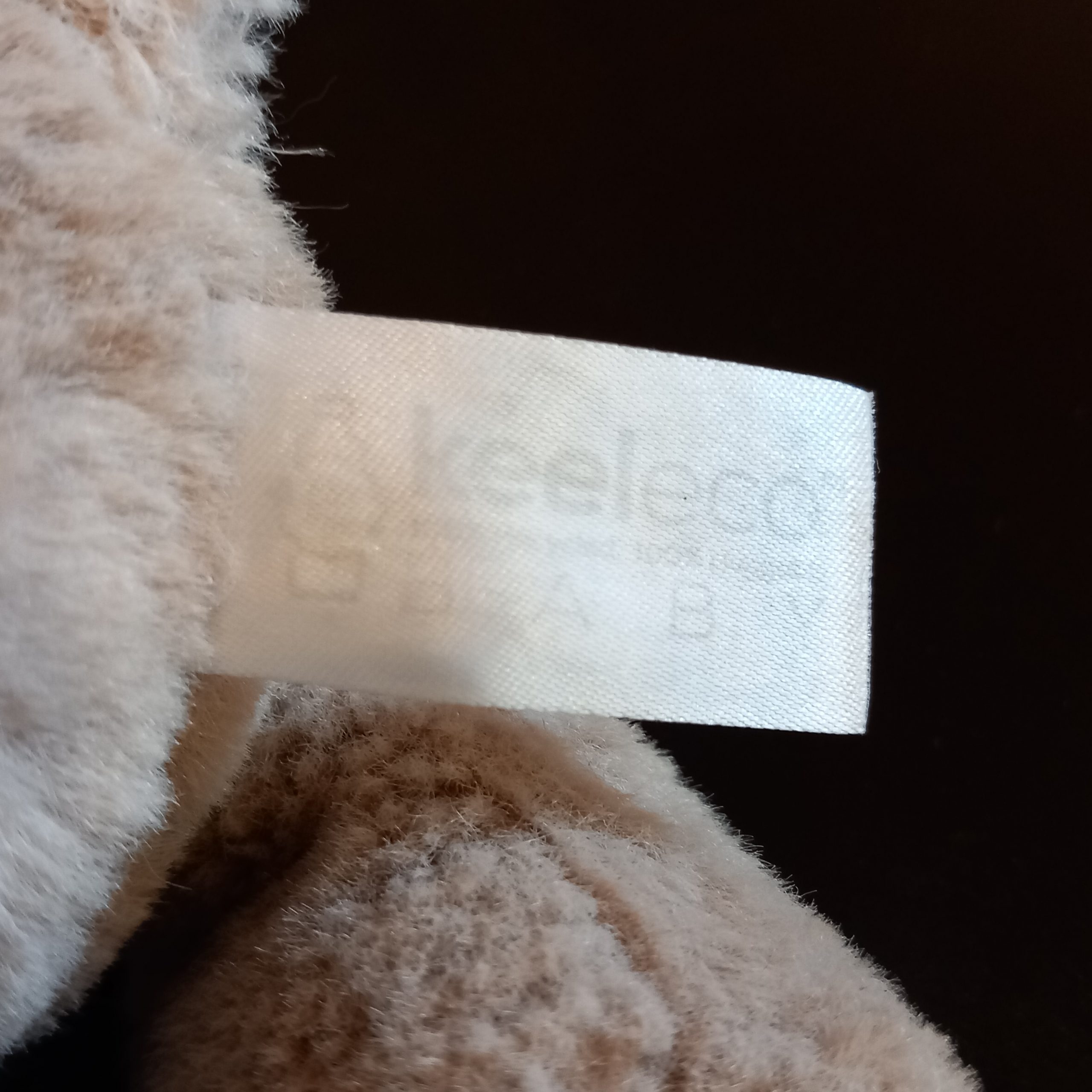 Cute Monkey - Image 4