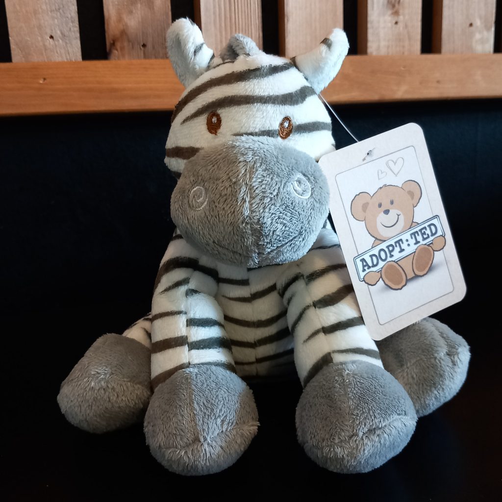 Adopt:Ted - Zebras
