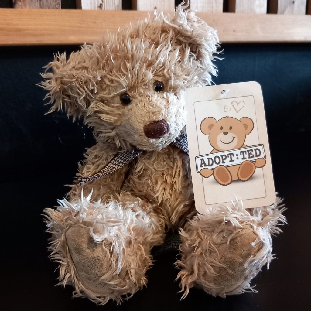 Adopt:Ted - Will You Look After Me?