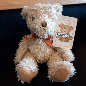 Cute Caramel Teddy Bear