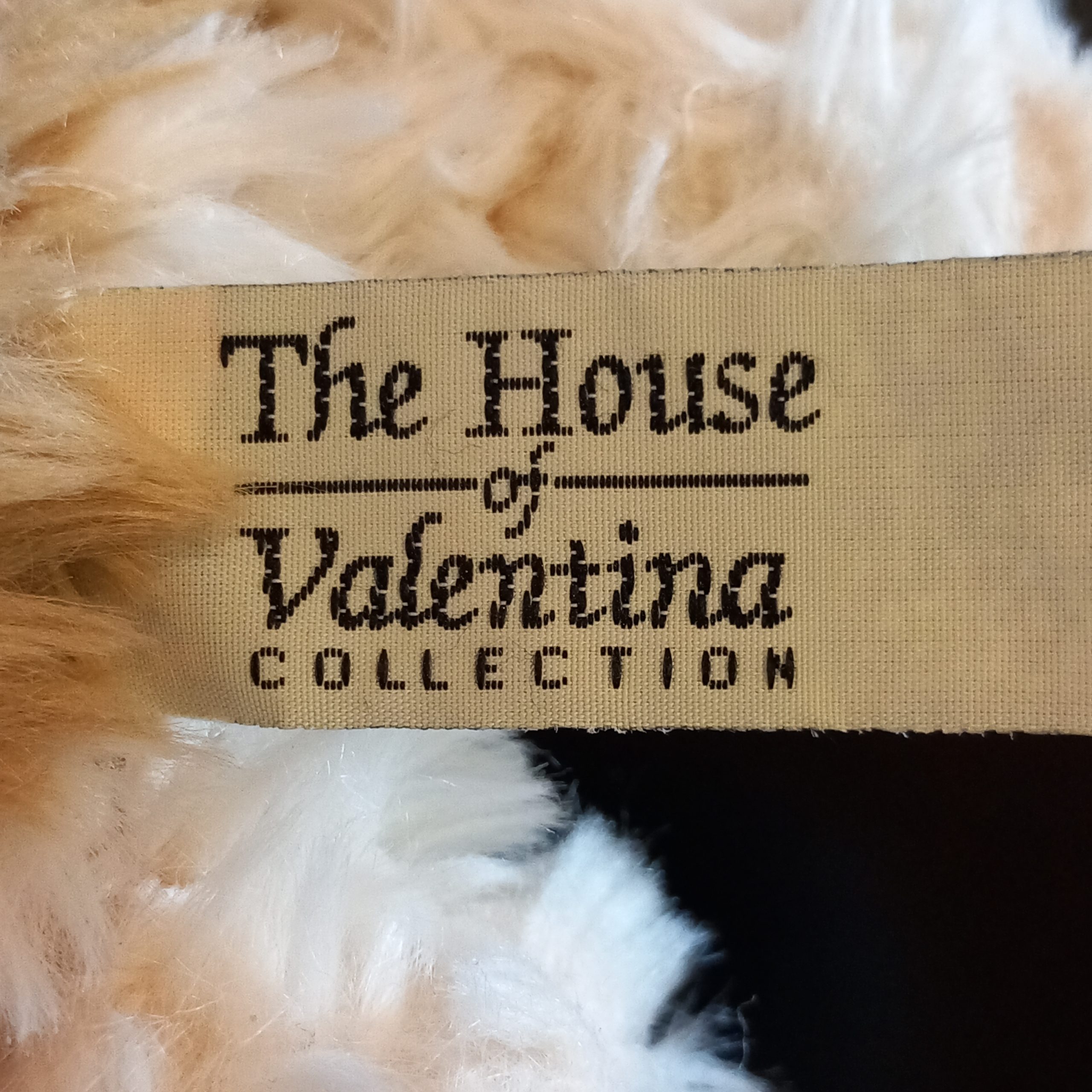 Cute Terrier Puppy - Image 3