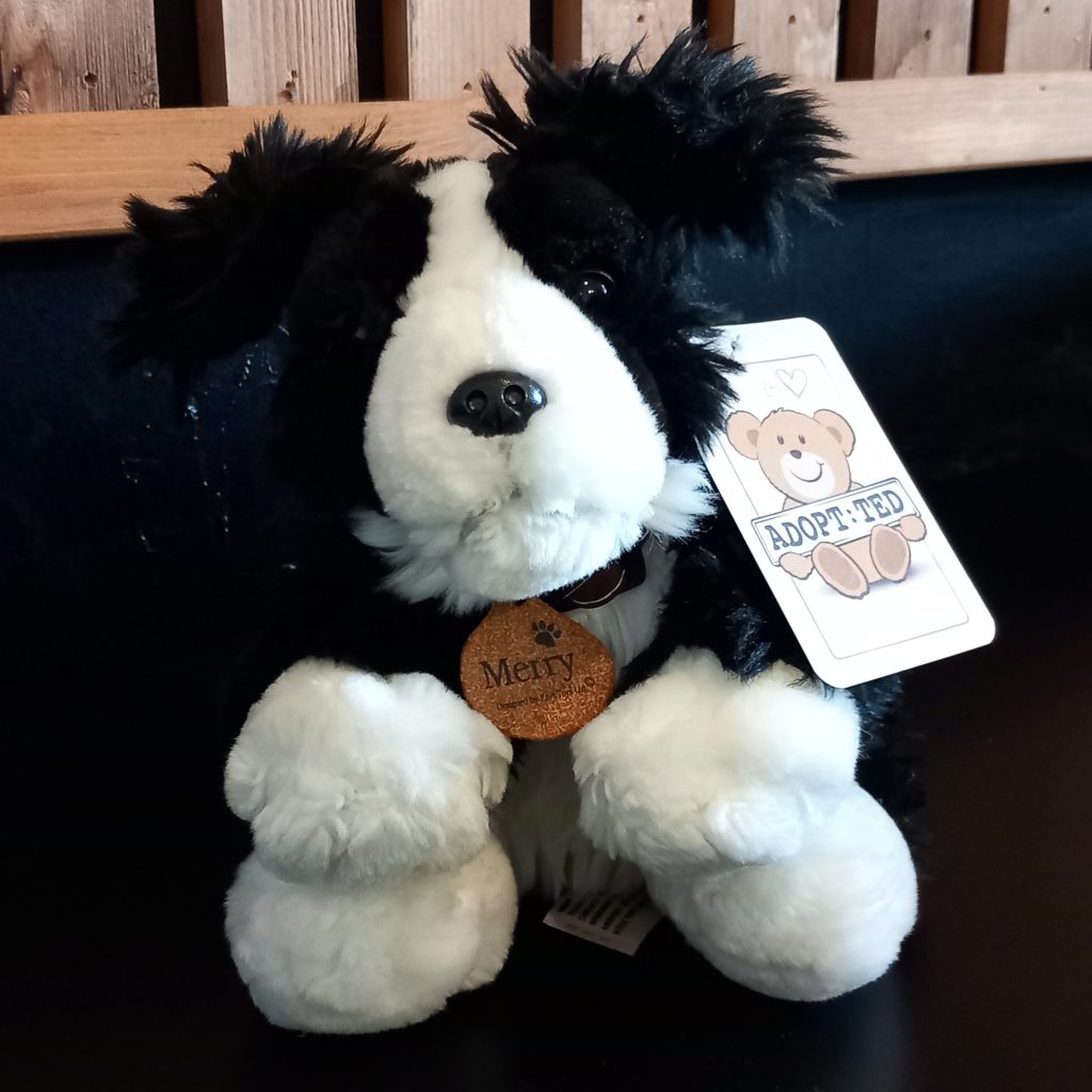 Adopt:Ted - Puppy Dogs