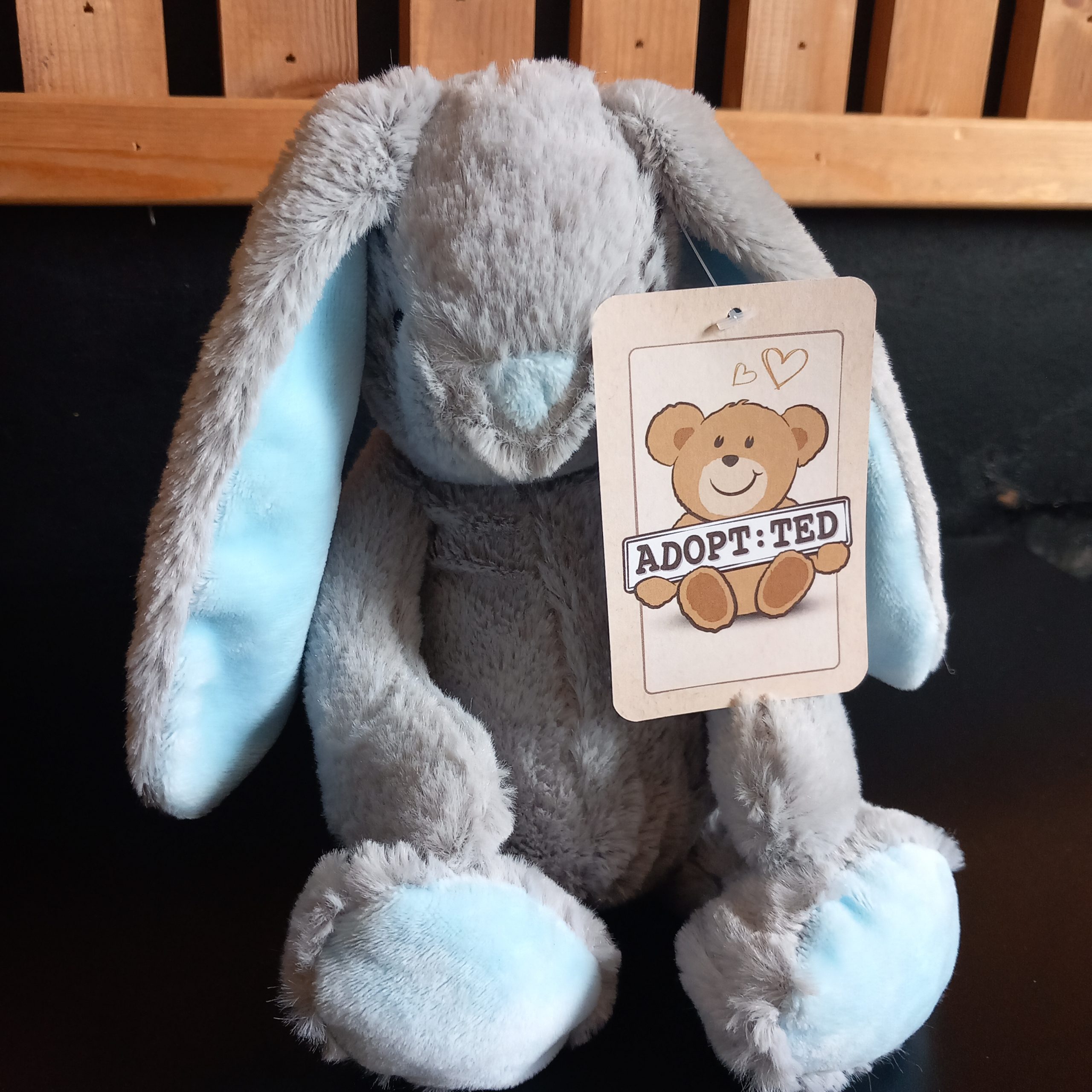 Cute Blue-Eared Bunny