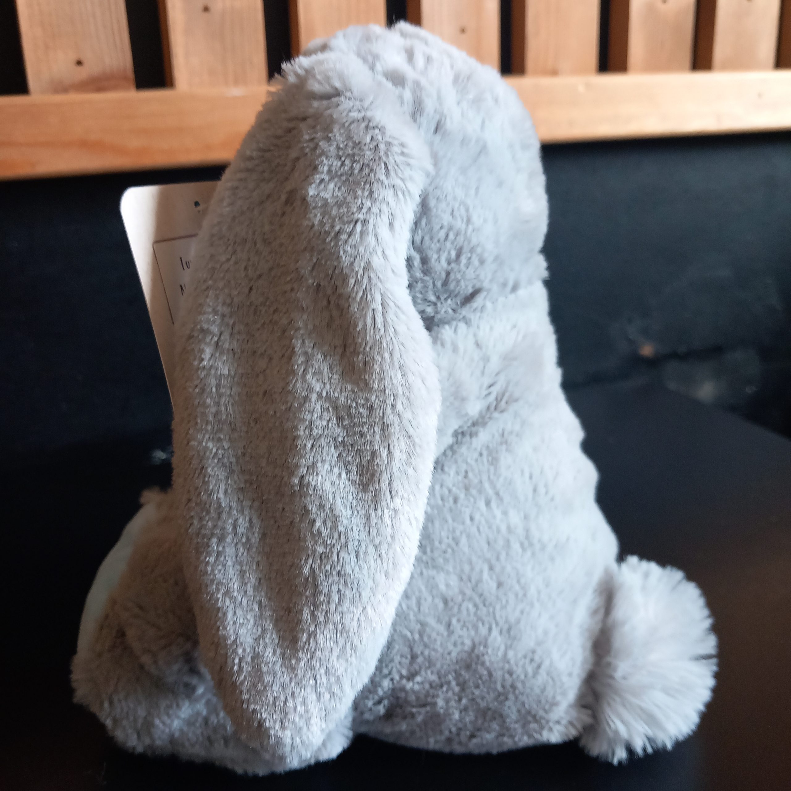 Cute Blue-Eared Bunny - Image 2