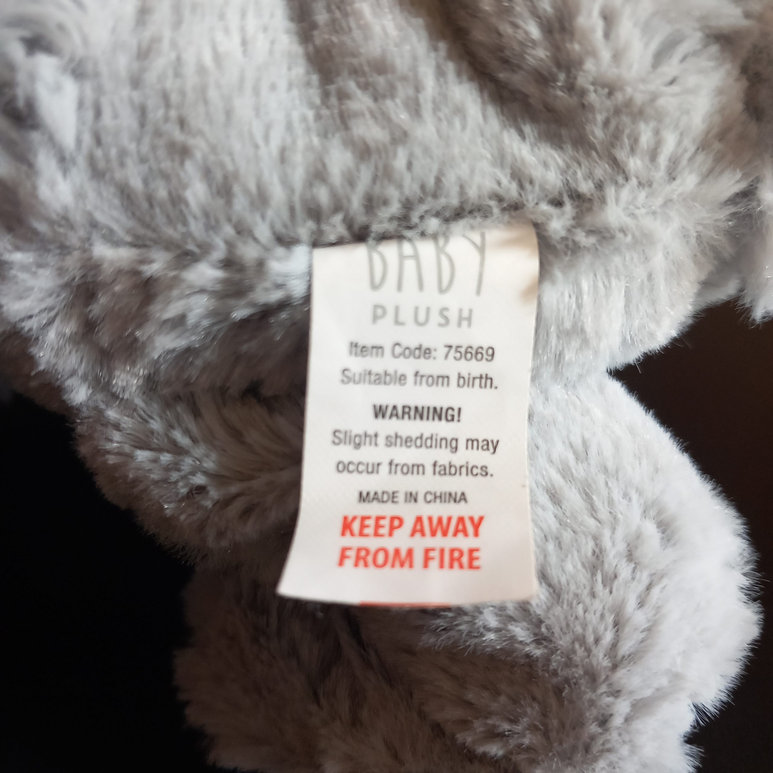 Cute Blue-Eared Bunny - Image 3