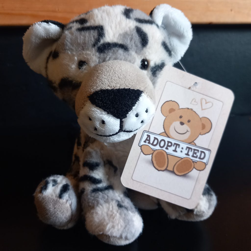 Adopt:Ted - Cute Leopard