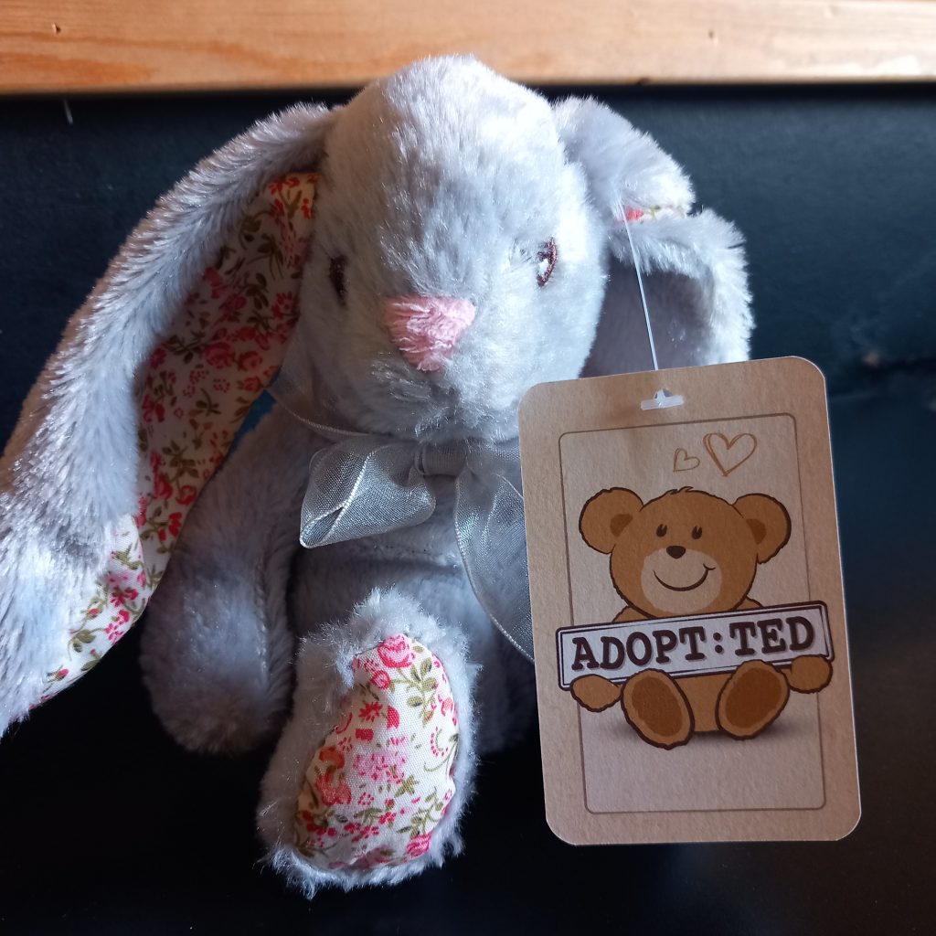 Adopt:Ted - Bunnies