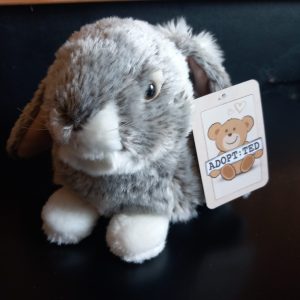 Realistic Bunny Rabbit