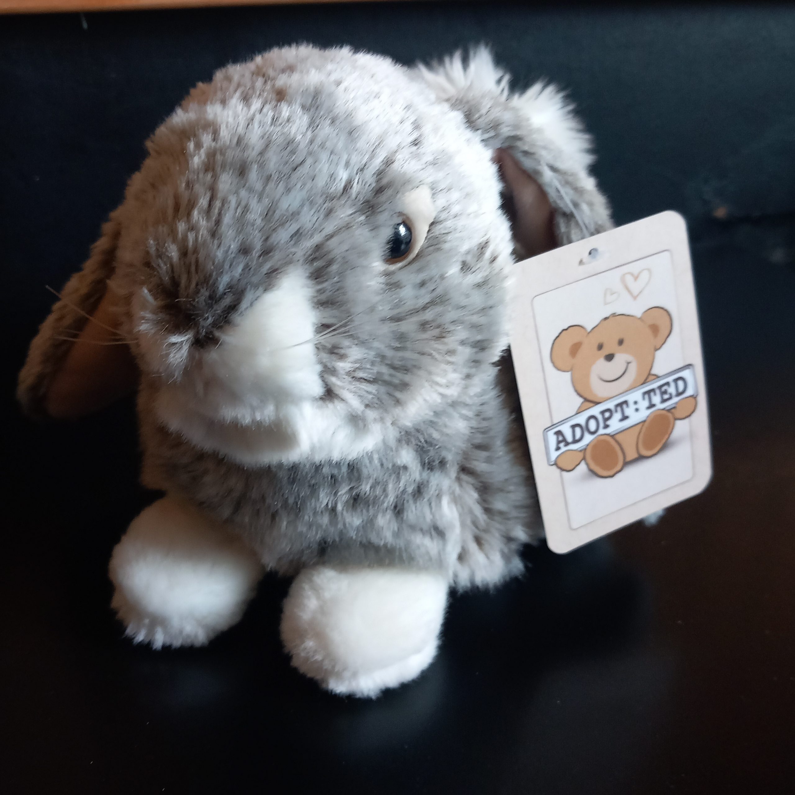 Realistic Bunny Rabbit