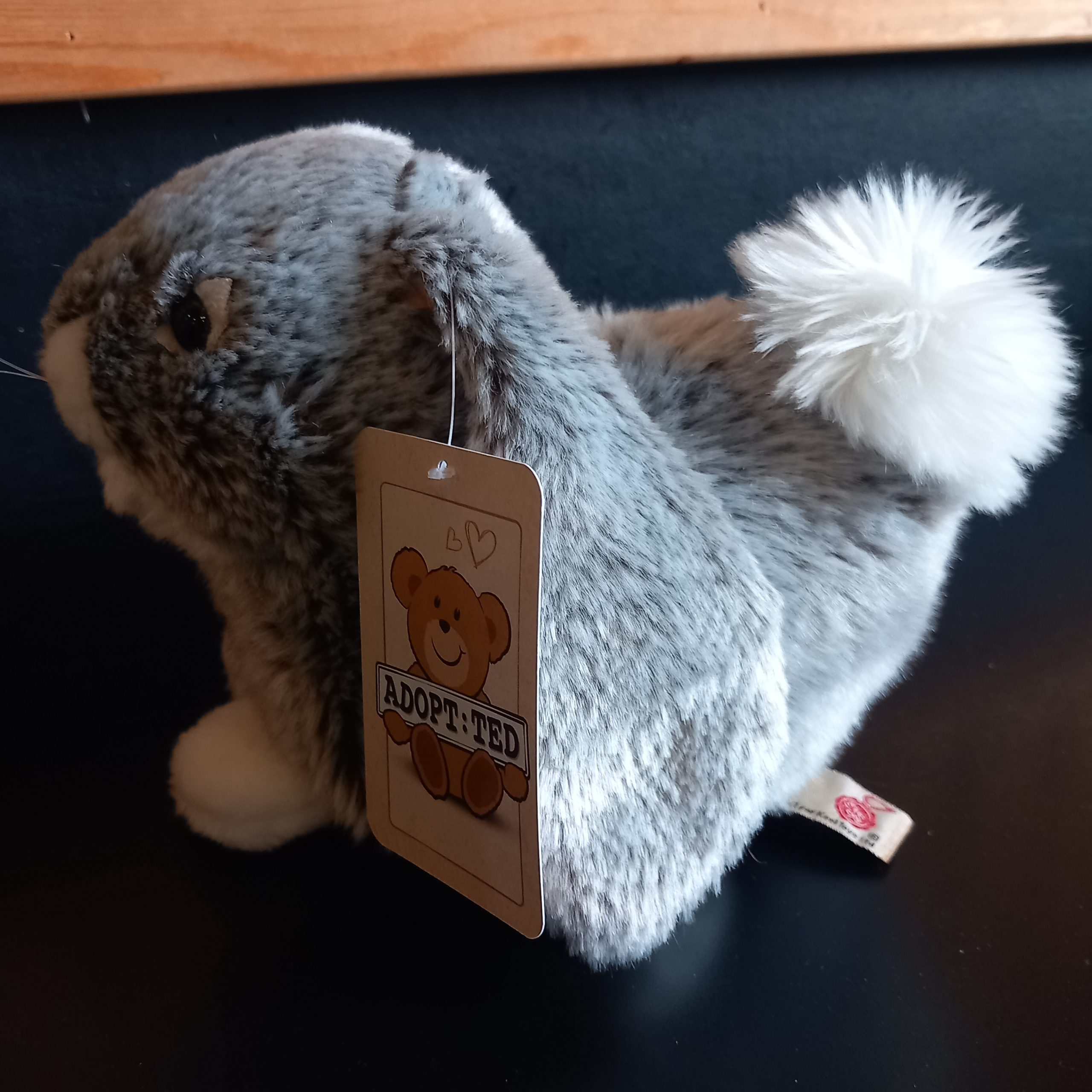 Realistic Bunny Rabbit - Image 2