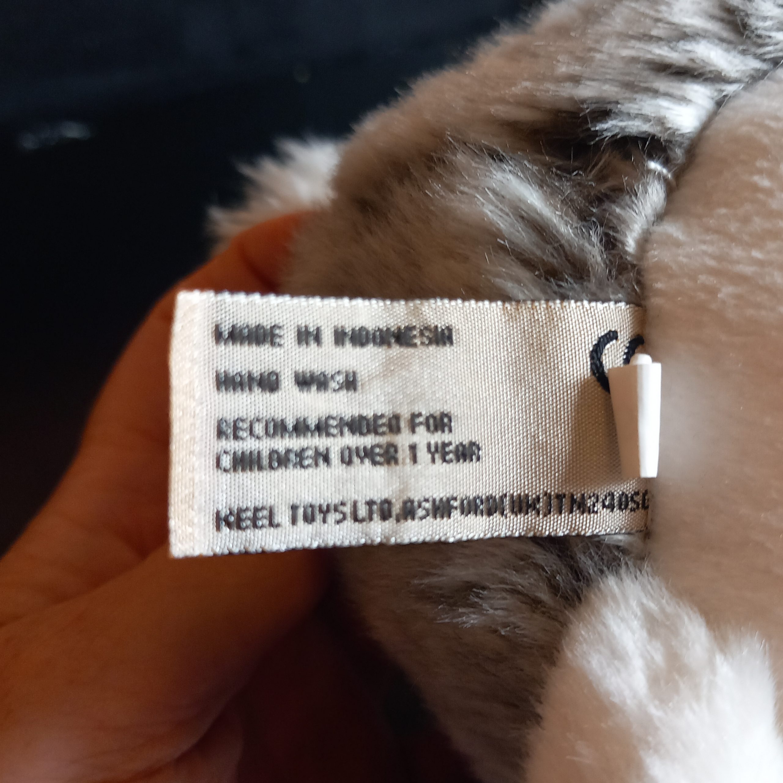 Realistic Bunny Rabbit - Image 3