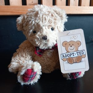 Tartan Paws Teddy Bear