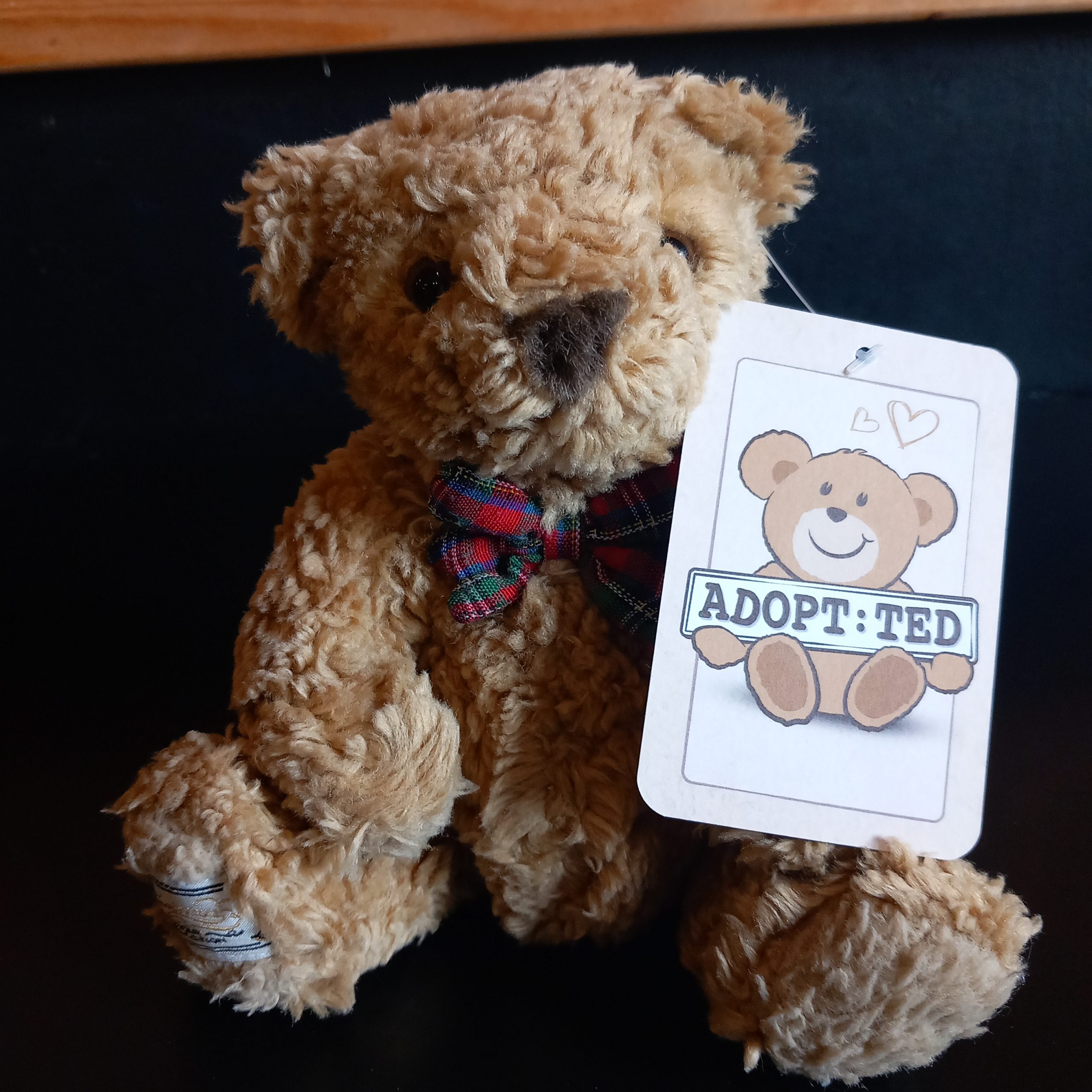 Monsieur Connoisseur Teddy Bear