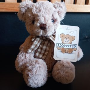 Rare James Junior Teddy Bear