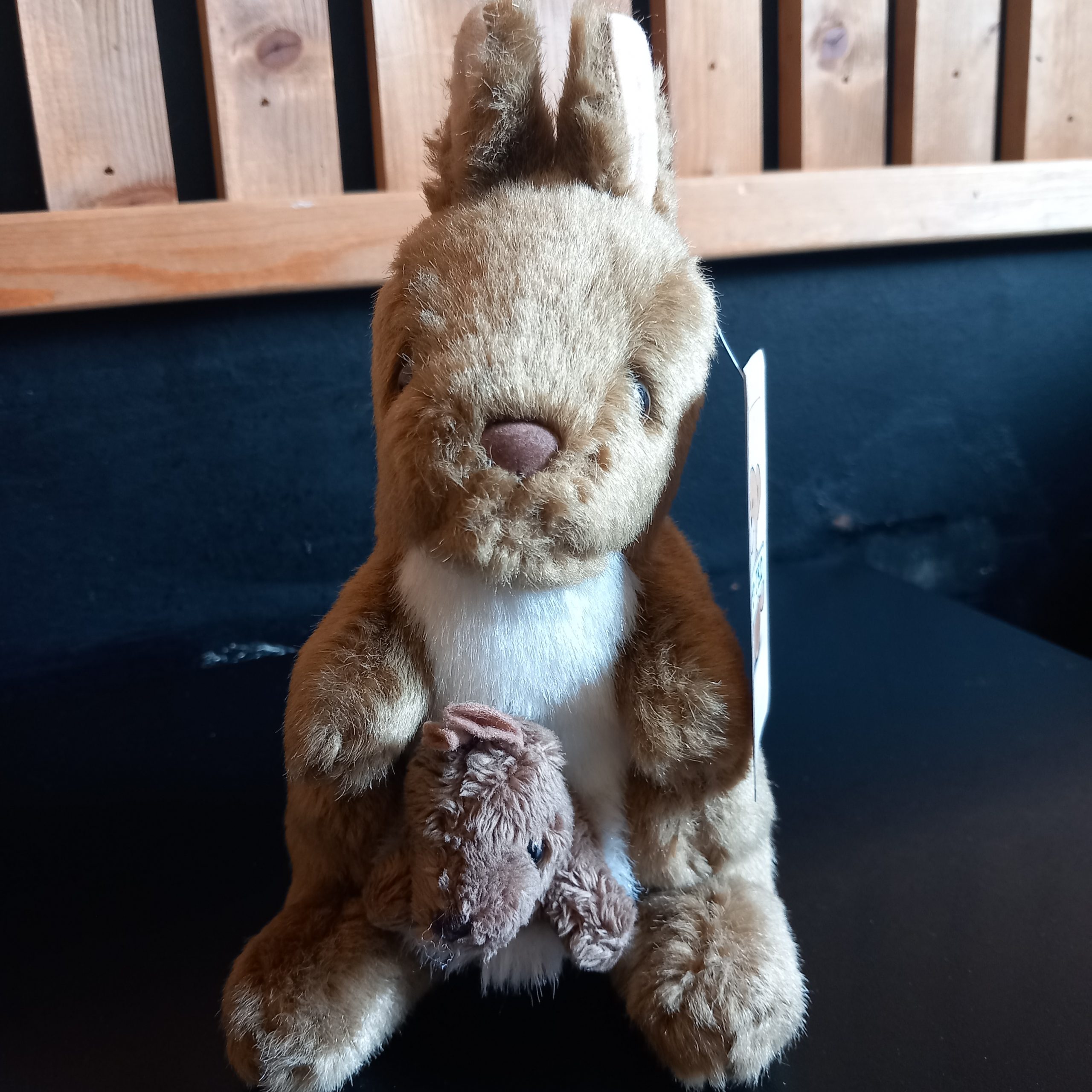 Kangaroo and Joey - Image 2