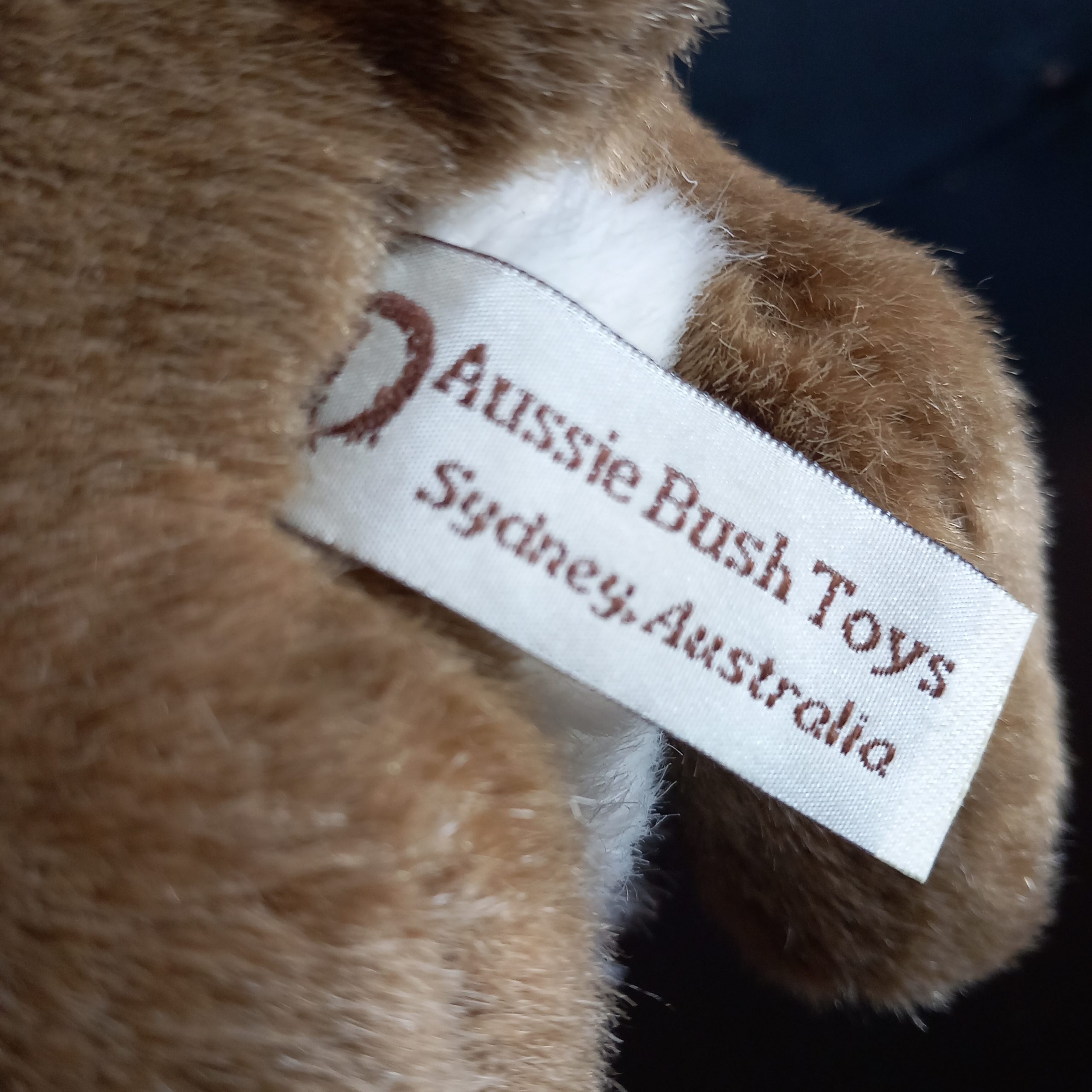 Kangaroo and Joey - Image 3