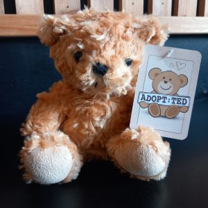 Soft Paws Teddy Bear