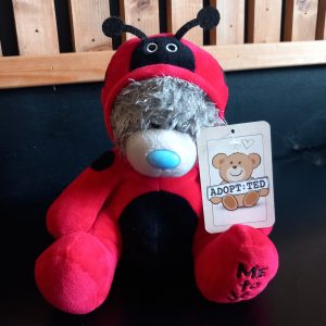 Ladybird Blue-Nosed Tatty Teddy Bear