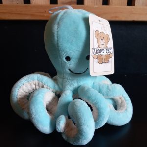 Cute Twangle-legged Octopus