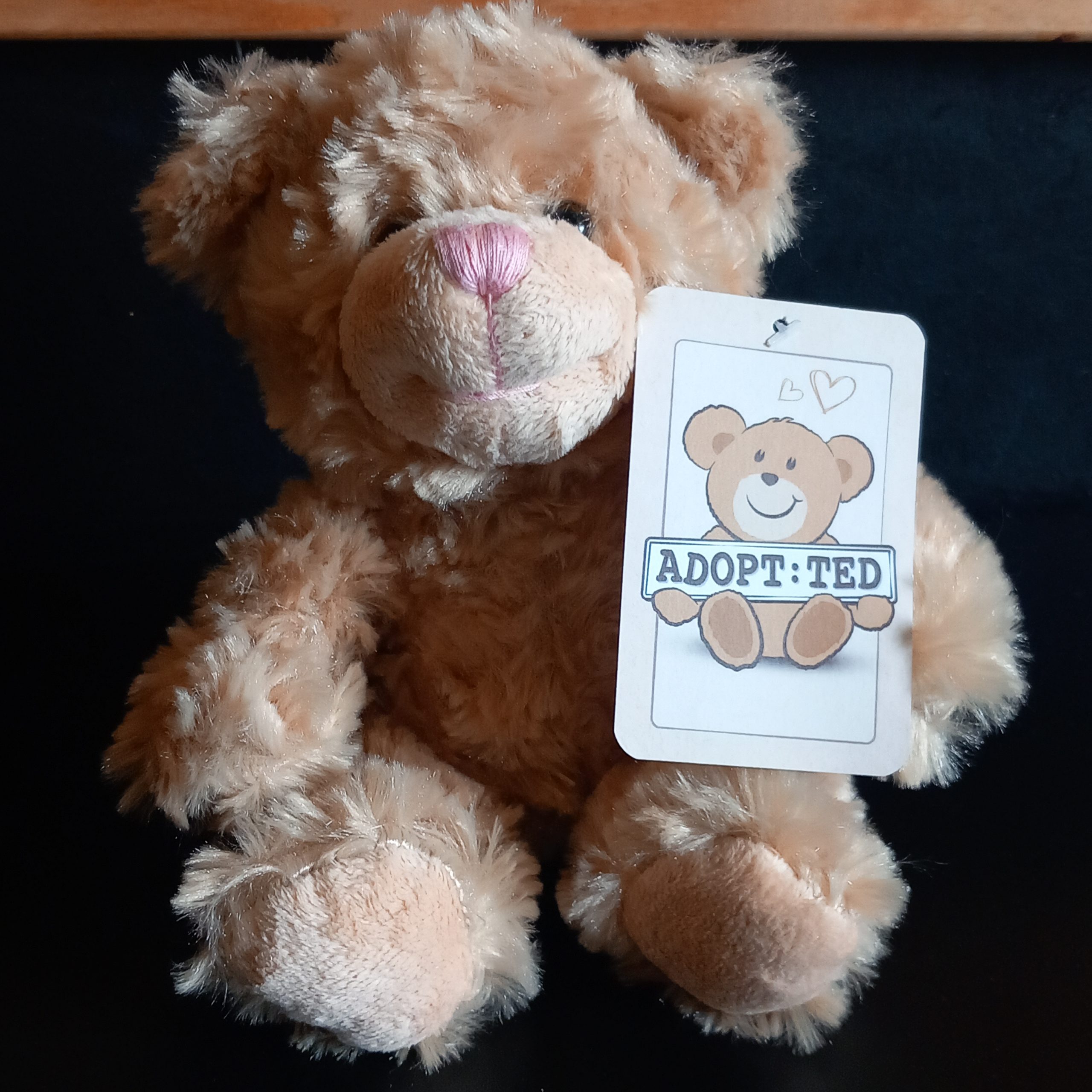 Little Lifesaver Teddy Bear