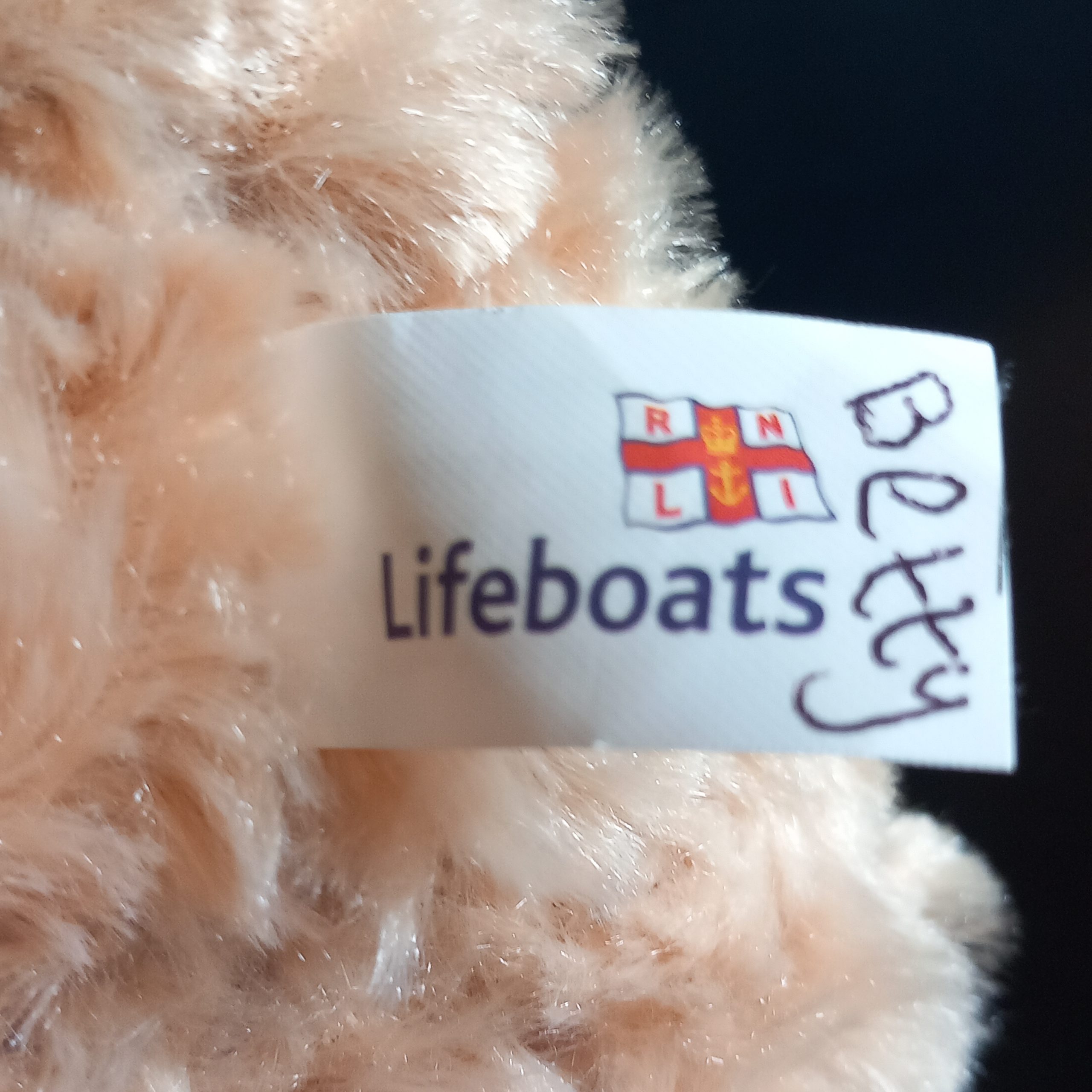 Little Lifesaver Teddy Bear - Image 3