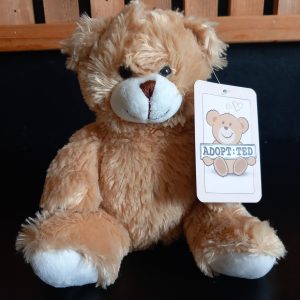 Rare Regal Teddy Bear