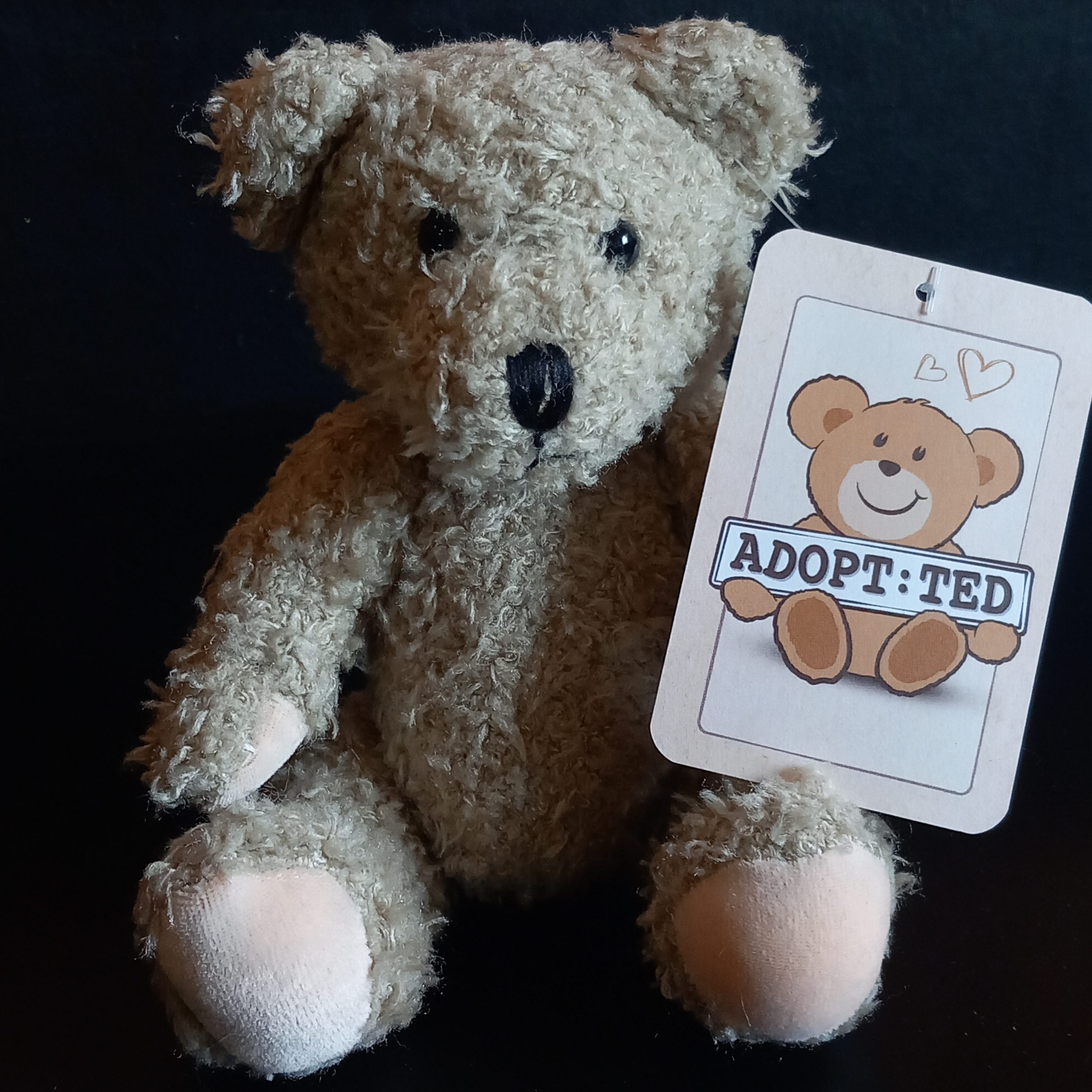 Vintage Well-Loved Teddy Bear