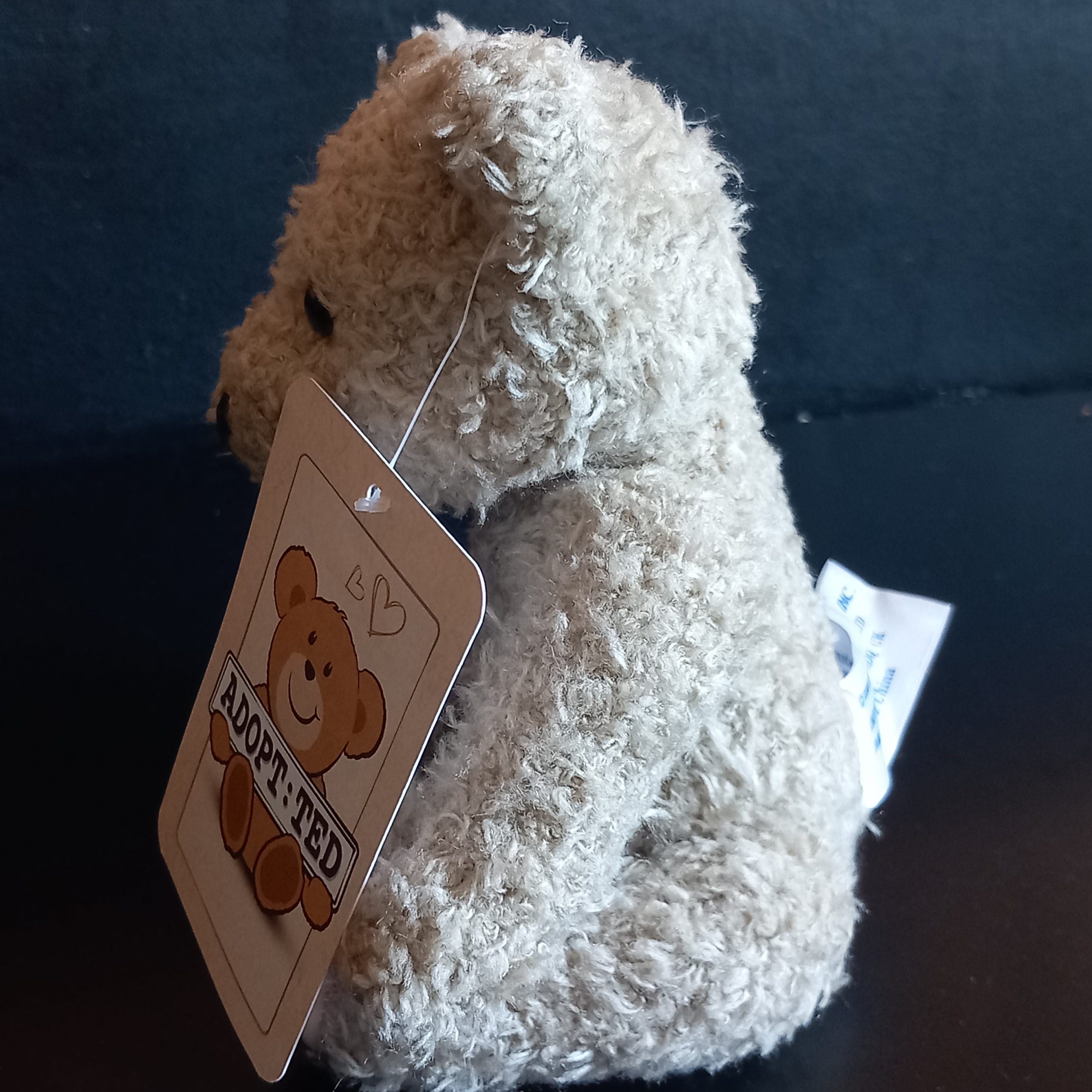 Vintage Well-Loved Teddy Bear - Image 2