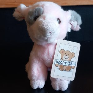 Cute Patch Eyed Piglet