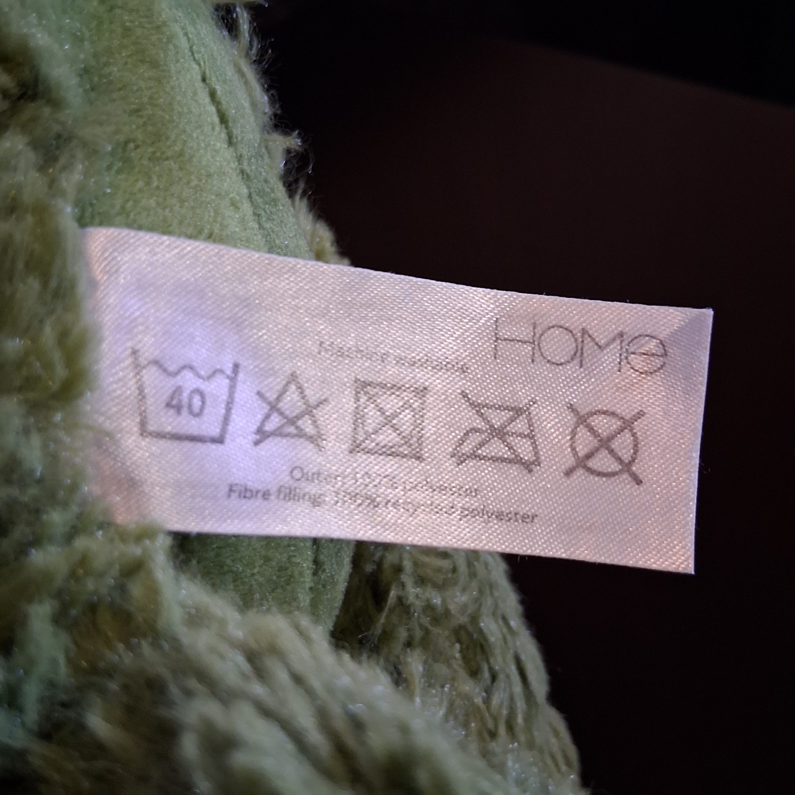 Scruffy Dino - Image 3