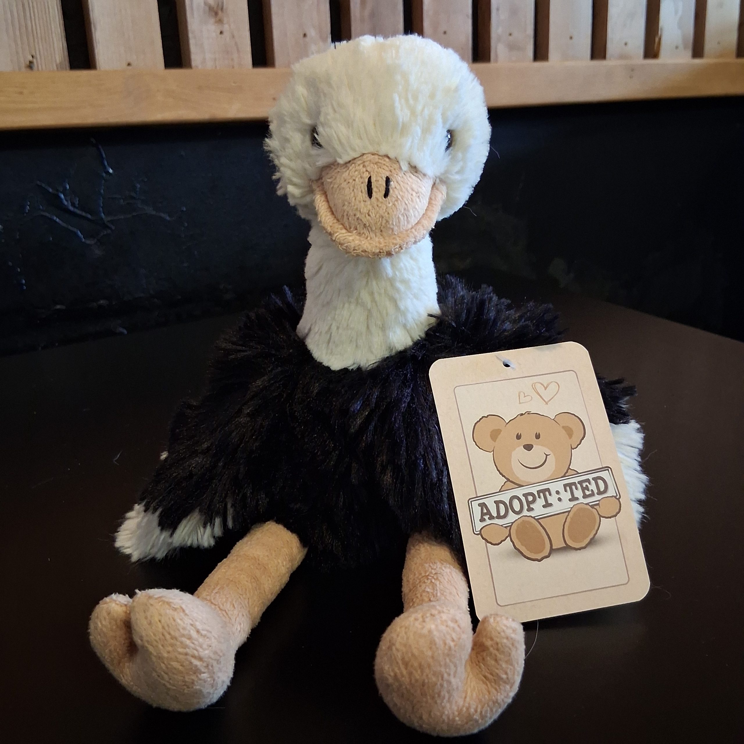 Beady-Eyed Ostrich