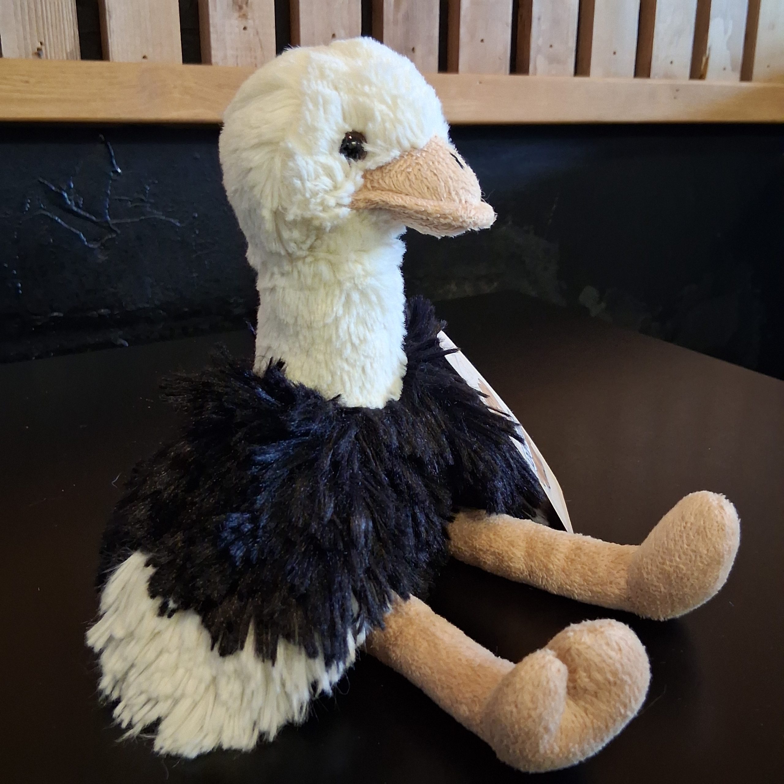 Beady-Eyed Ostrich - Image 2