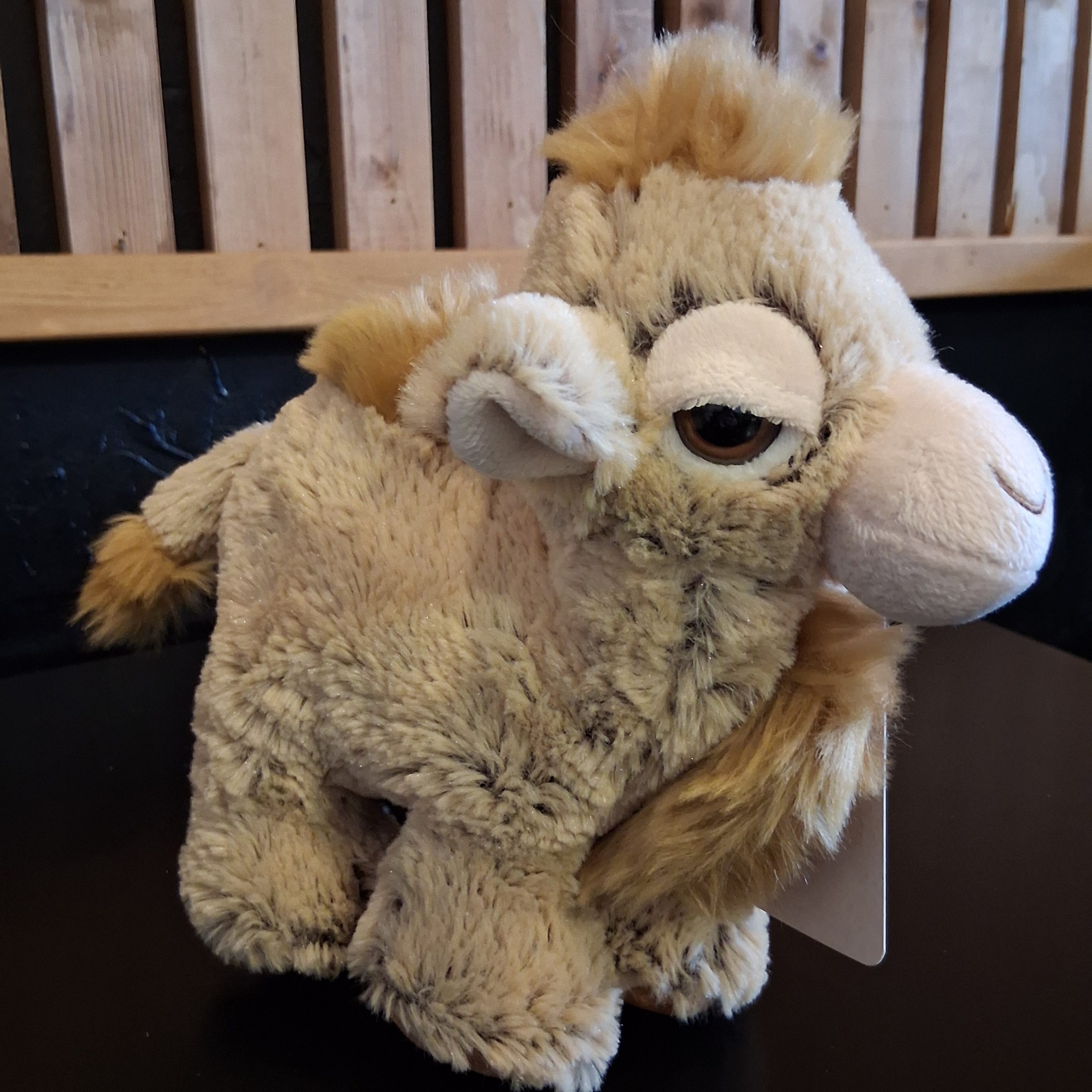 Sleepy Camel - Image 2