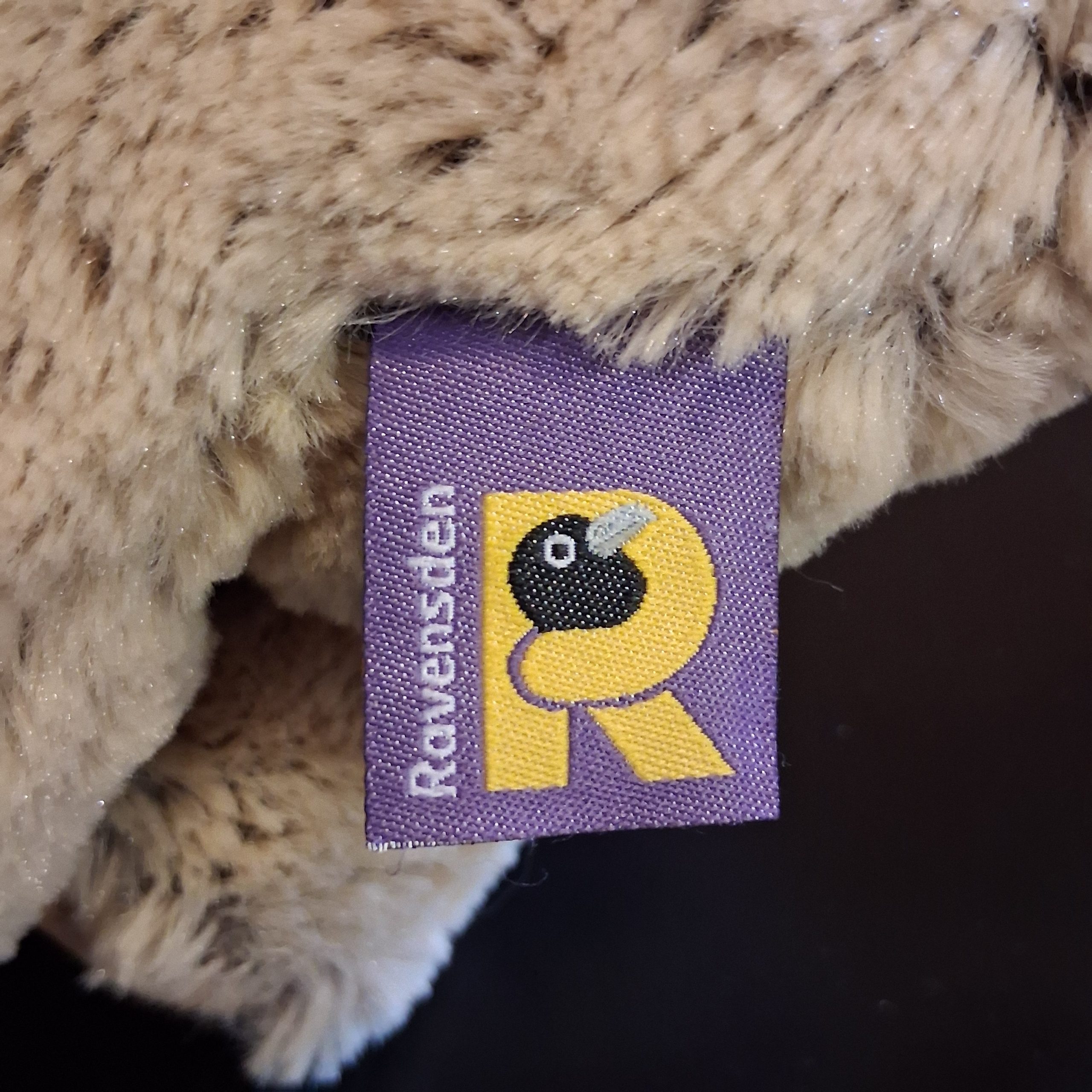 Sleepy Camel - Image 3