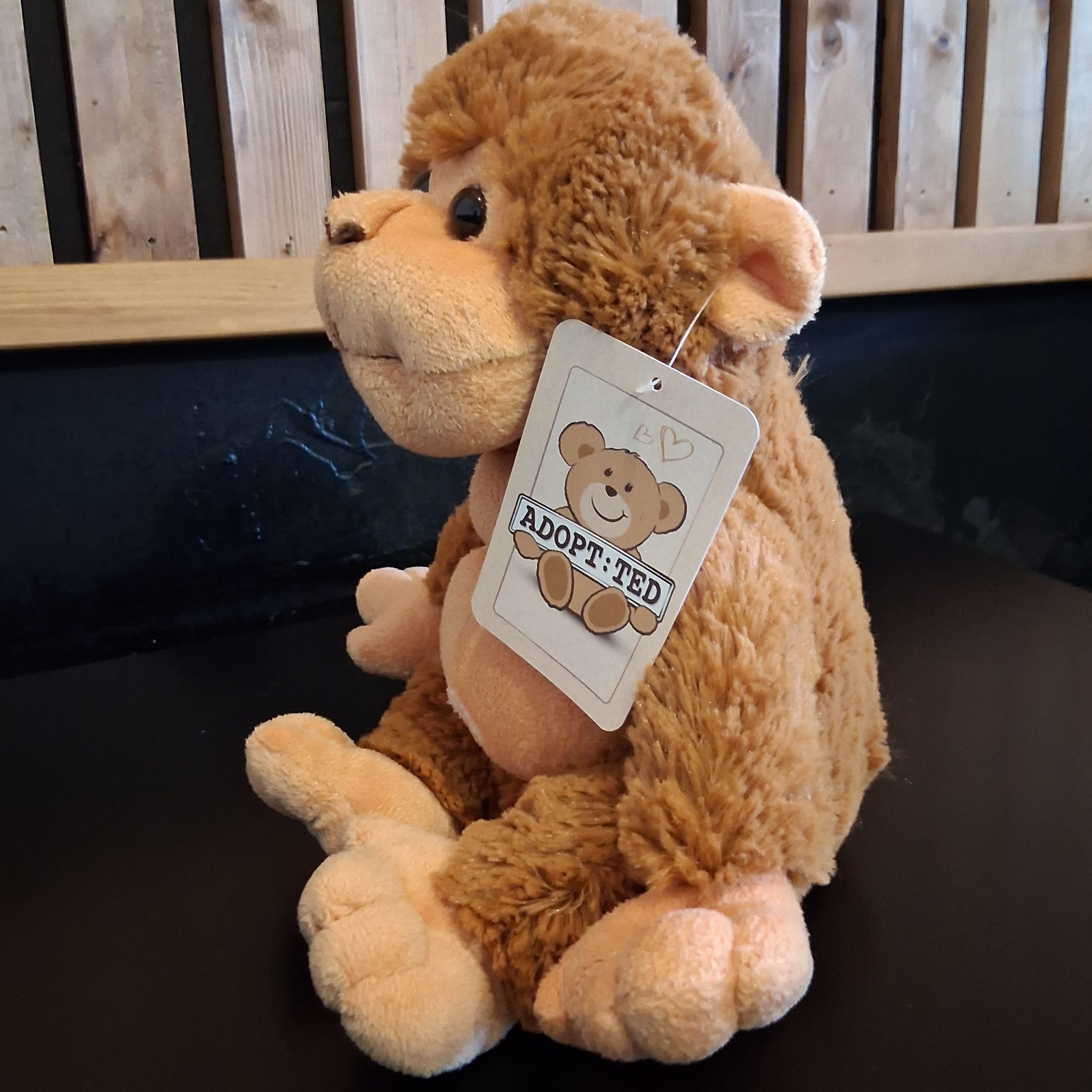 Inquisitive Chimp - Image 2