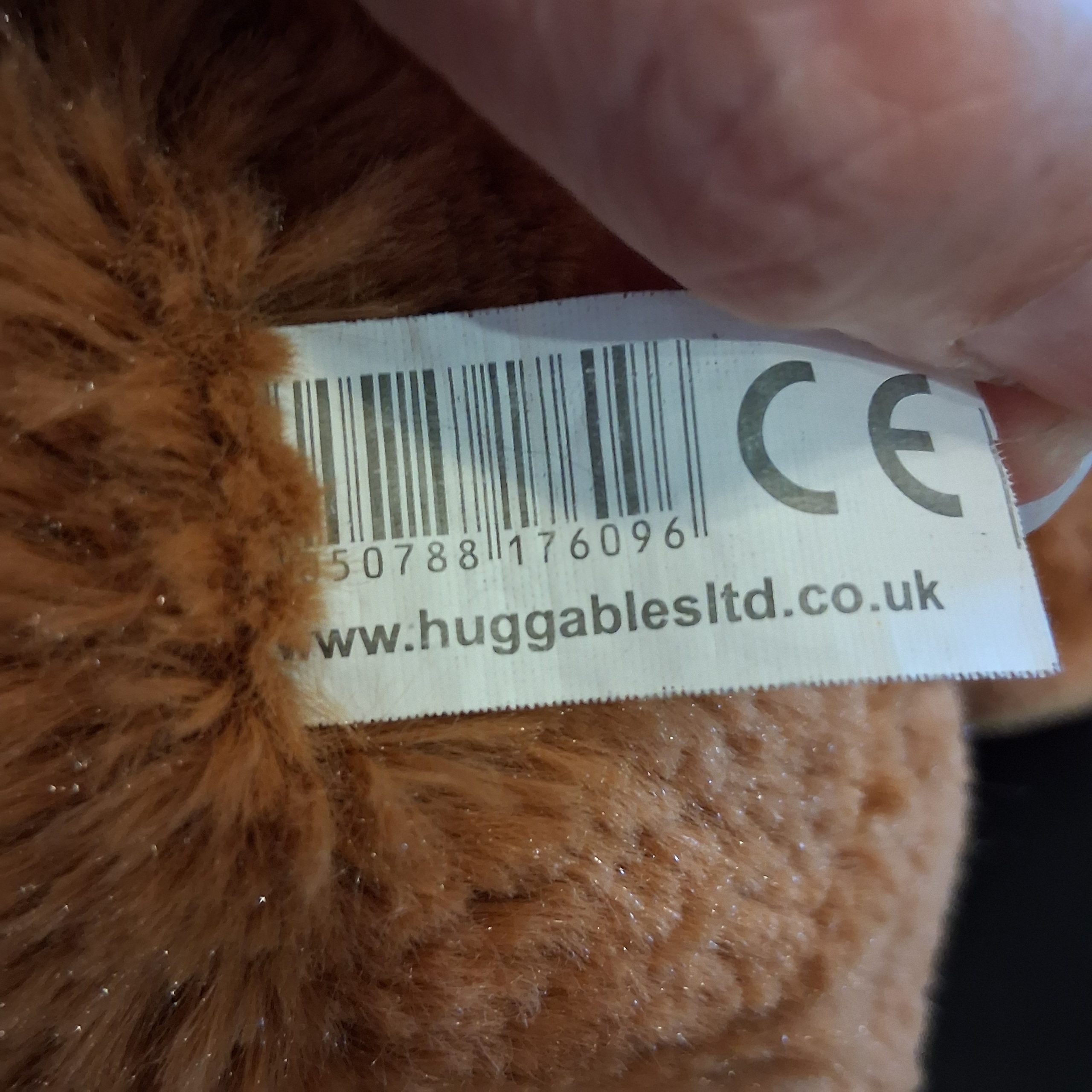 Inquisitive Chimp - Image 3