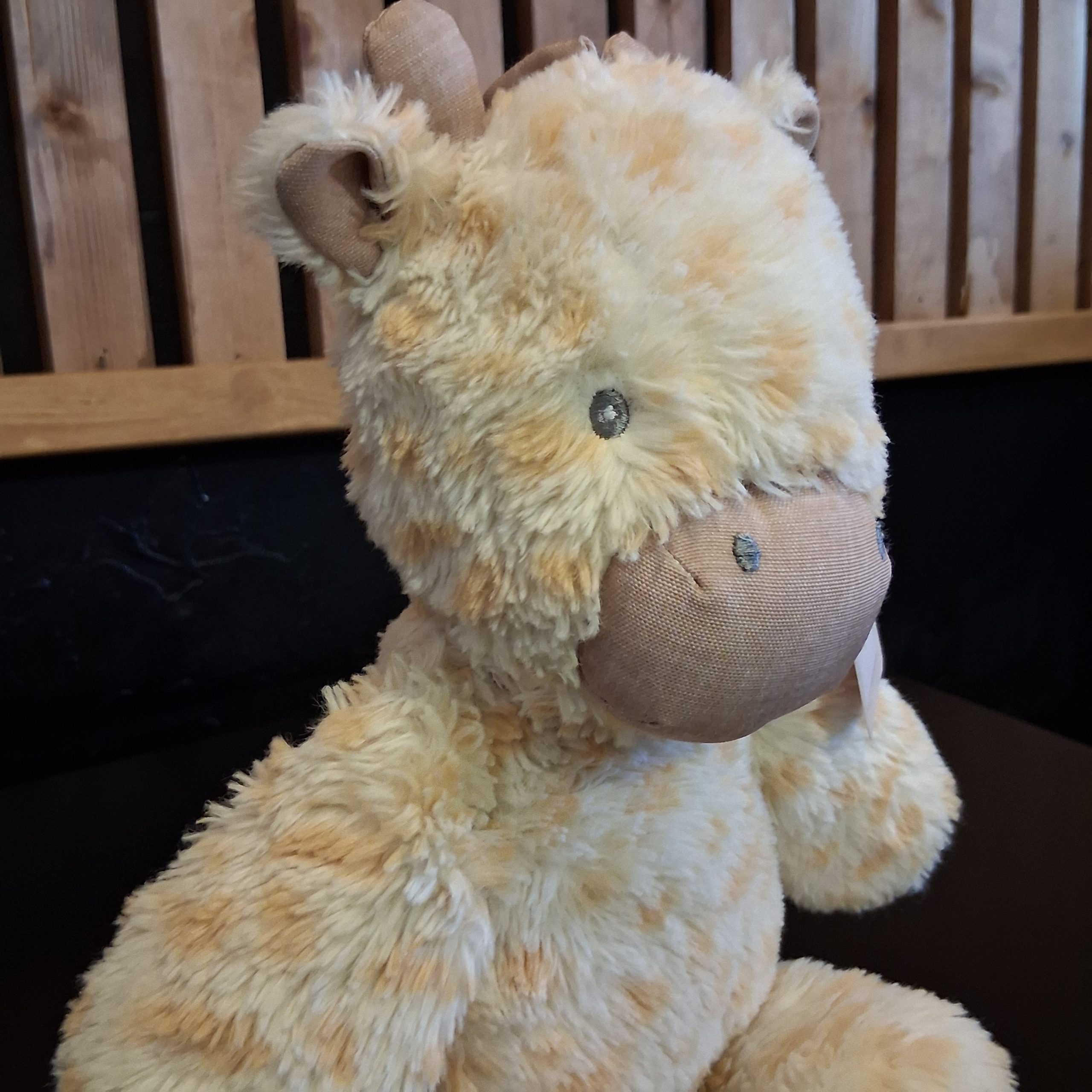 Scruffy Giraffe - Image 2