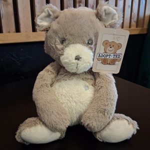 If Lost Please Return Teddy Bear