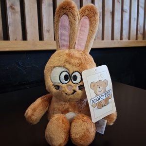 Crazy Bunny Boiler Bunny Rabbit