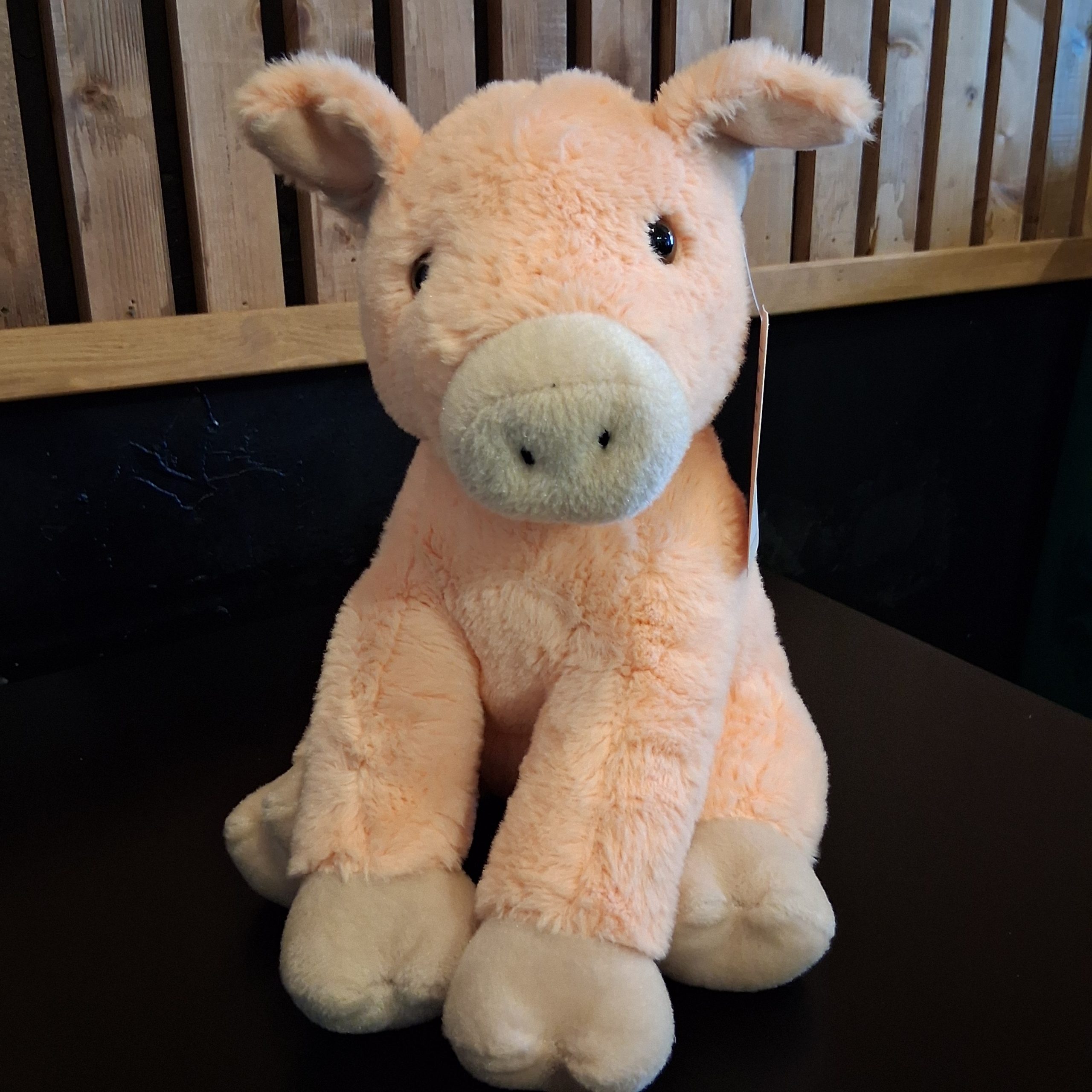 Cheeky Cuddle-Me Piglet