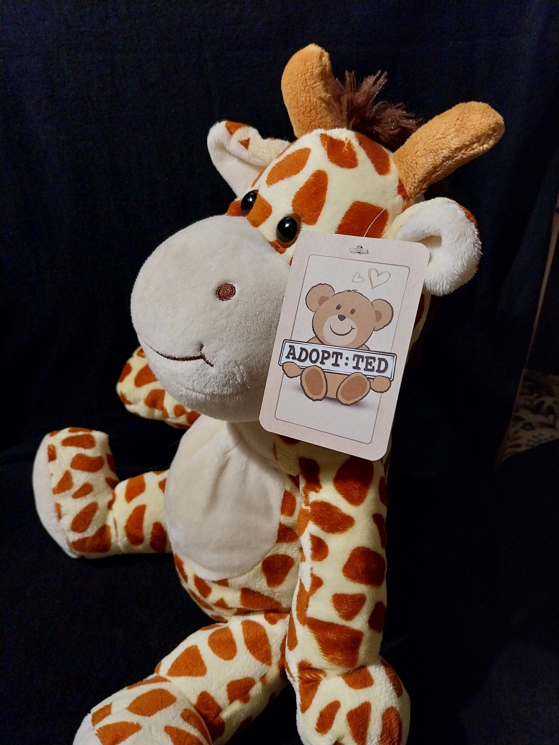 Happy Raffe Giraffe - Image 2