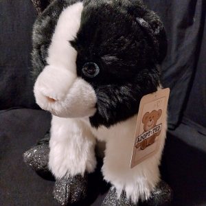 Sparkle Pawed Kitten