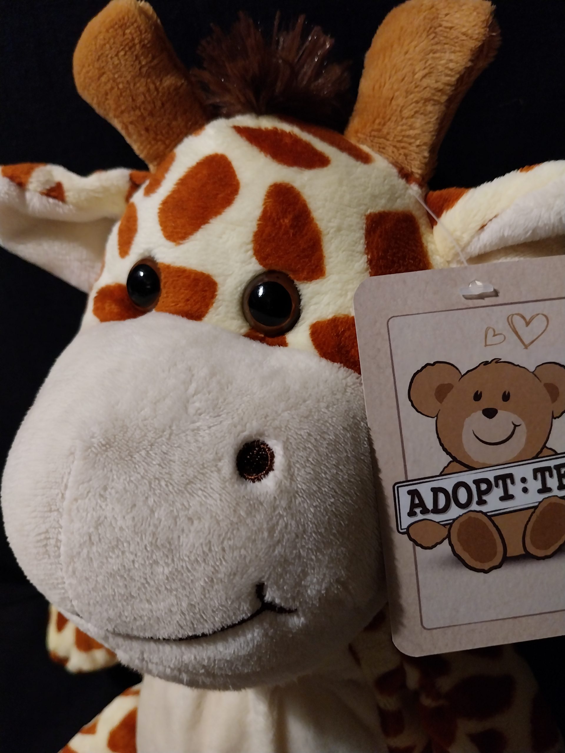 Happy Raffe Giraffe - Image 3