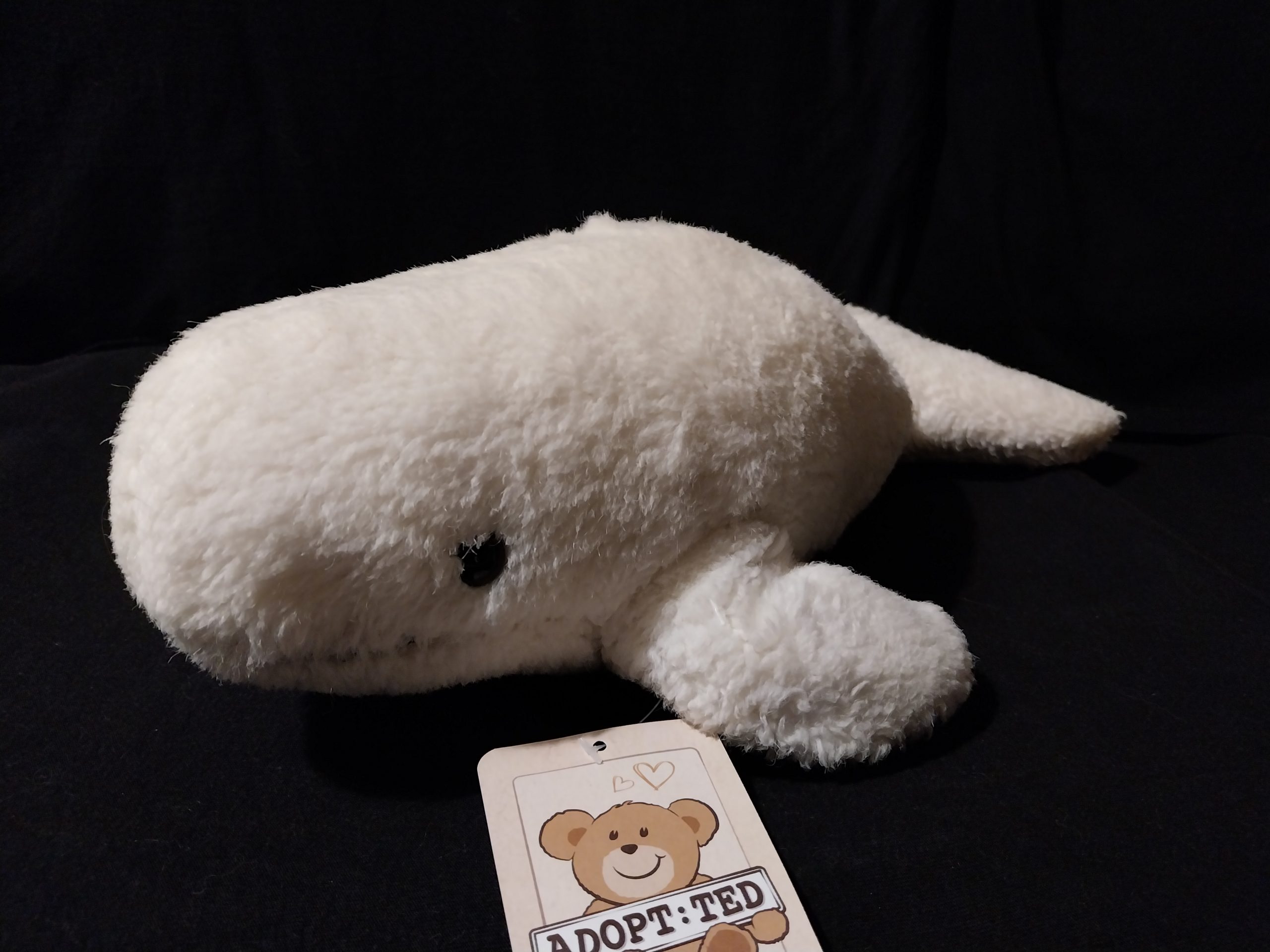 Vintage Beluga Whale