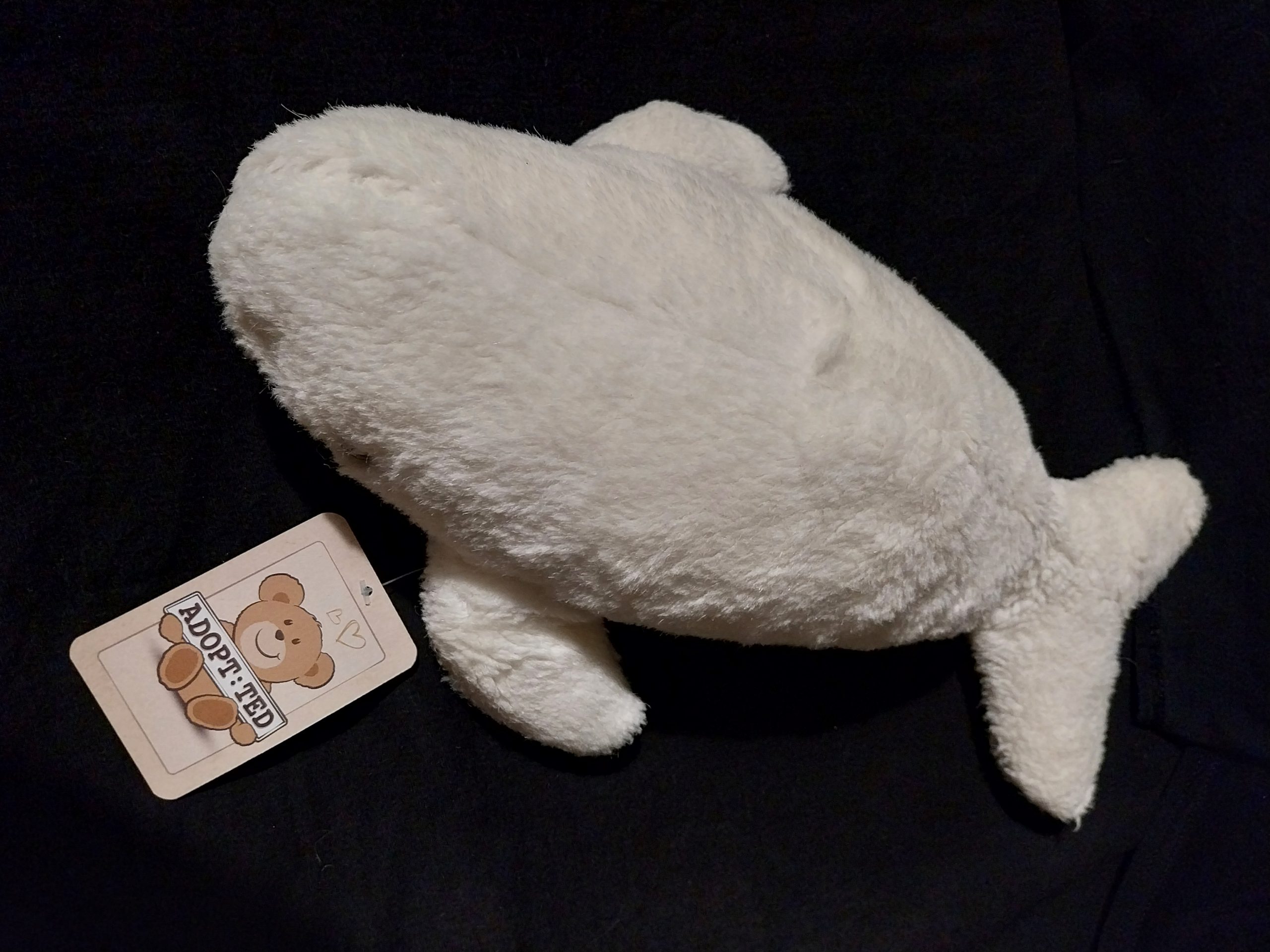 Vintage Beluga Whale - Image 3